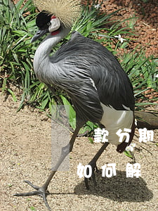 還款分期逾期一年會(huì)被通緝嗎？如何解決？